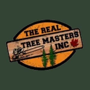 Toronto, Appliance Repair, The Real Tree Masters
