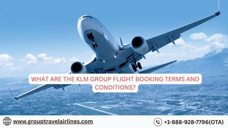 New York, Travel, What Are The KLM Group Flight Booking Terms And Conditions?