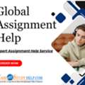 Need An Expert Global Assignment Help? Contact Us!