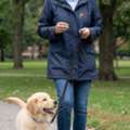 Professional Puppy Trainer For Early Success In Nassau County