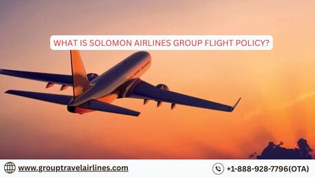 New York, Travel, What Is Solomon Airlines Group Flight Policy?