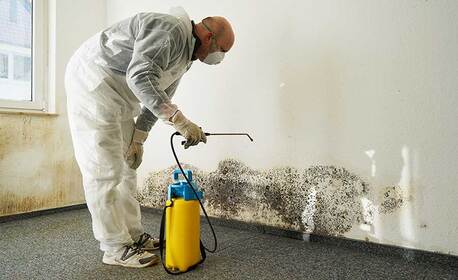 Melbourne, Cleaning, Mould Cleaning Services In Victoria | First To Restore