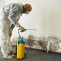 Mould Cleaning Services In Victoria | First To Restore