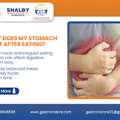 Common Causes Of Bloating And Stomach Discomfort Explained