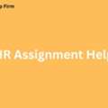 Achieve Academic Success With Our HR Assignment Help Services