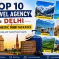Top 10 Travel Agency In Delhi For Domestic Tour Packages