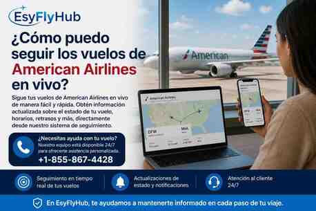 New York, Travel, ¿Cómo Puedo Seguir Los Vuelos De American Airlines En Vivo?