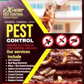 Riyadh, Pest Control, ()PEST CONTROL Riyadh*Cleaning And Relocation Services Best PRICE[]>] 0510552139