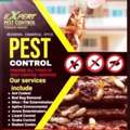 ()PEST CONTROL Riyadh*Cleaning And Relocation Services Best PRICE[]>] 0510552139