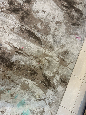 Riyadh, Furniture, SAR 120,  Carpet