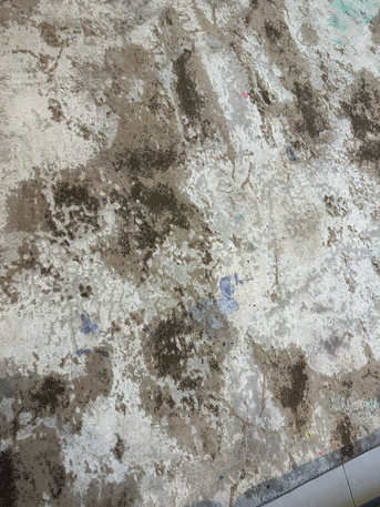 Riyadh, Furniture, SAR 120,  Carpet