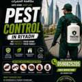 PAK RIYADH MOVERS PESTCONTROL 🪳 SERVICE AND CLEANING AVAILABLE FOR BEST' PRICE 0594436079
