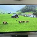 BHD 25,  Sharp 32 Inches LED Used Only 6 Months.