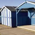 Premium Sheds For Sale In Bellevue, WA