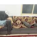 SAR 200,  Sofa Set