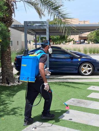 Dubai, Pest Control, Low Cost Odor Removal Dubai