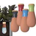 USD 39,  SmartiLiving Plant Watering Globes | Easy Self Watering For Healthy Plants