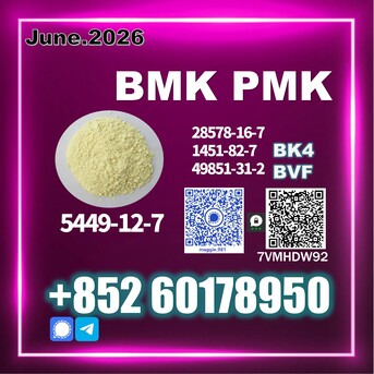 The Hague, Materials, Usd 170,  New B.MK CAS 5449-12-7 PM.K Worry-free Service