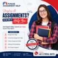 10 Proven Secrets To Score A+ In Holmes Institute Assignments | Expert Student Guide