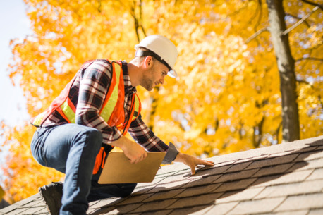 Austin, Business, Austin Roofing & Handyman