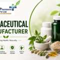Top 10 Nutraceutical Companies In India &ndash; Leading Supplement Manufacturers