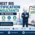Who Is The Best BIS Consultant In Noida?