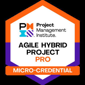 Gujranwala, Job Seekers, Certified PMP & AI Data-Driven Marketing Analyst | 5+ Years Experience