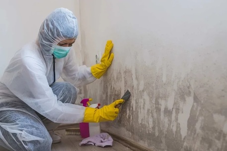 New York, Household, Home Technology Inspections
