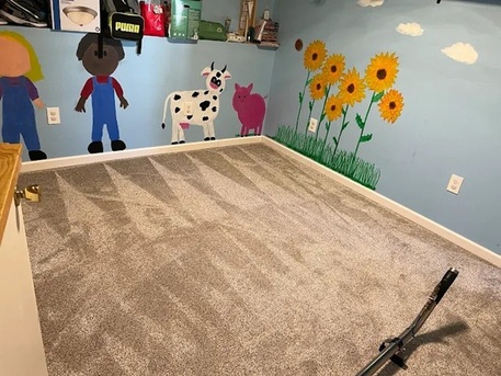 New York, Cleaning, United Carpet Cleaning