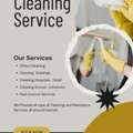 Make Your Home Shine Again!