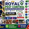 🏆11🏆 Royal Pest Control Services In Riyadh  🐜 Ant Control 🪳 Cockroach Control 🐀