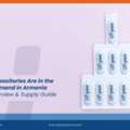 Which Suppositories Are In The Highest Demand In Armenia? Market Overview & Supply Guide