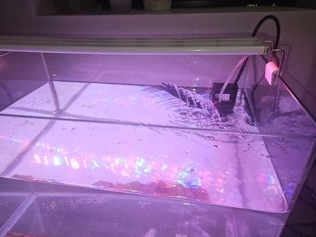 Khobar, Pet Supplies, SAR 300,  Aquarium