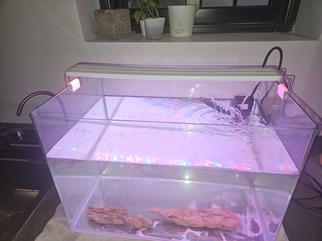 Khobar, Pet Supplies, SAR 300,  Aquarium