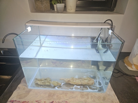 Khobar, Pet Supplies, SAR 300,  Aquarium