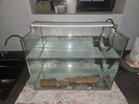Khobar, Pet Supplies, SAR 300,  Aquarium