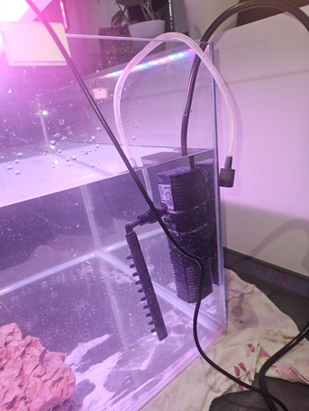 Khobar, Pet Supplies, SAR 300,  Aquarium