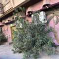 SAR 45000/year,  Studio,  120 Sq. Meter,  STORE ROOM FOR RENT