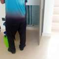 Low Cost Apartment Pest Control Dubai | Professional Apartment Pest Control Services