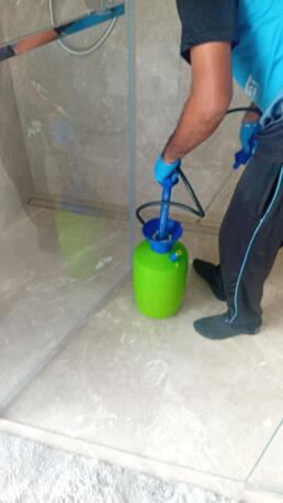 Dubai, Pest Control, Low Cost Apartment Pest Control Dubai | Professional Apartment Pest Control Services