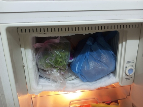 Baish, Electronics, SAR 450,  Fridge One Door LG