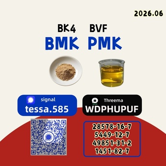 Kabul, Software, AFN 50,  BMK CAS 5449-12-7  Glycidic Acid Sodium Salt   Organic Yellow Powder  High Yield