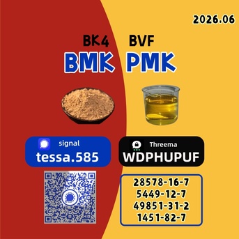 Kabul, Software, AFN 50,  BMK CAS 5449-12-7  Glycidic Acid Sodium Salt   Organic Yellow Powder  High Yield