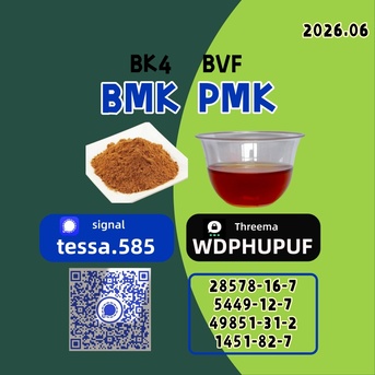 Kabul, Software, AFN 50,  BMK CAS 5449-12-7  Glycidic Acid Sodium Salt   Organic Yellow Powder  High Yield