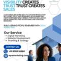Professional Digital Marketing Services