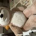 SAR 100,  4ft Teddy Bear For Sale And Get Free Ride On Horse