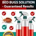 H561PEST CONTROL&hearts;️SPRAYS&hearts;️And BED BUGS&hearts;️Solution With Guaranteed&hearts;️0575282420