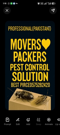 Al Masiaf, Labor/Moving, H514PROFESSIONAL(PAKISTANi)&hearts;️MOVERS❤️PACKERS◼️PEST CONTORL SOLUTION BEST PIRCE0575282420