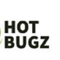Hot Bugz
