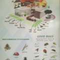Pest Control Services